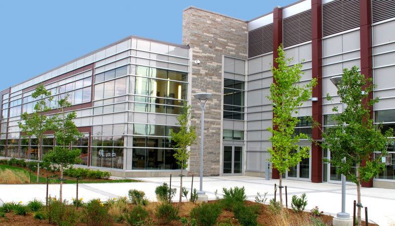 Stone Cladding Service