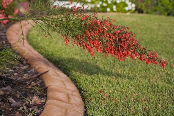 Brick Edging in Glen Allen