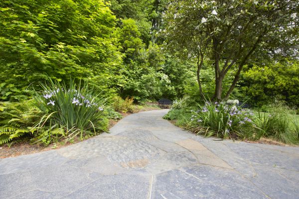Stone Hardscape Service in Glen Allen