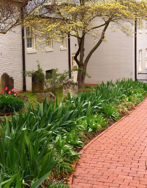 Brick Flatwork Repair in Glen Allen